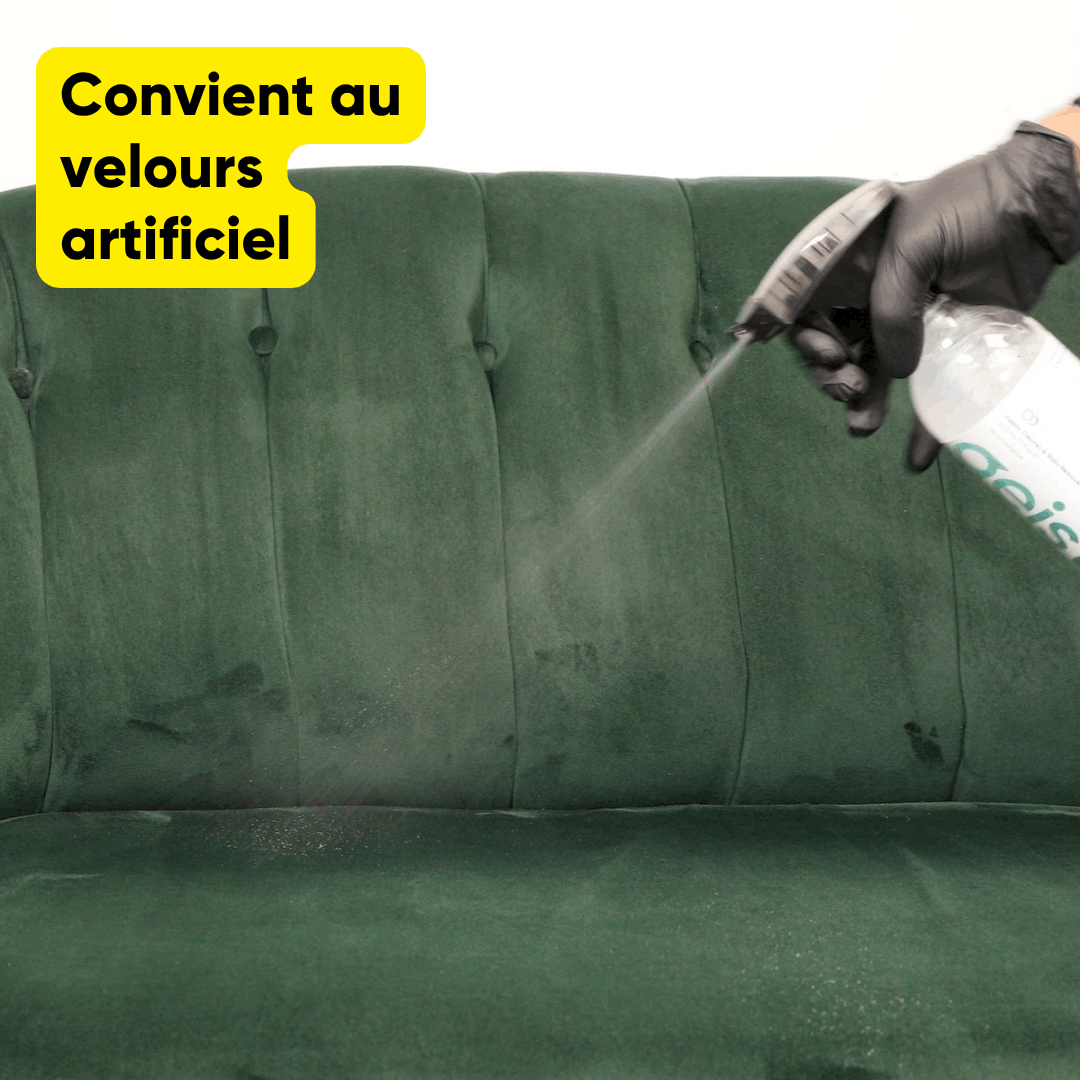 Nettoyant et détachant pour tissus
